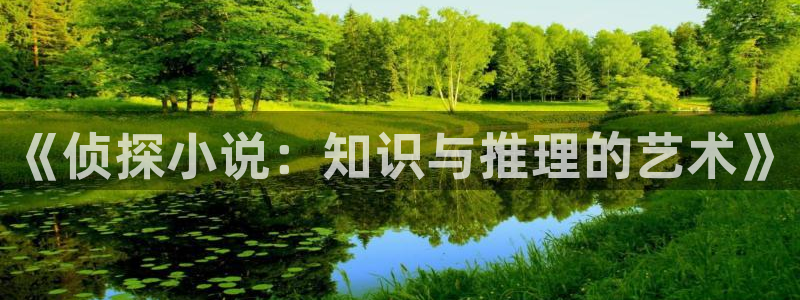 御宅屋御书屋备用：《侦探小说：知识与推理的艺术》