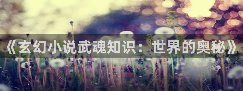 h御书屋：《玄幻小说武魂知识：世界的奥秘》